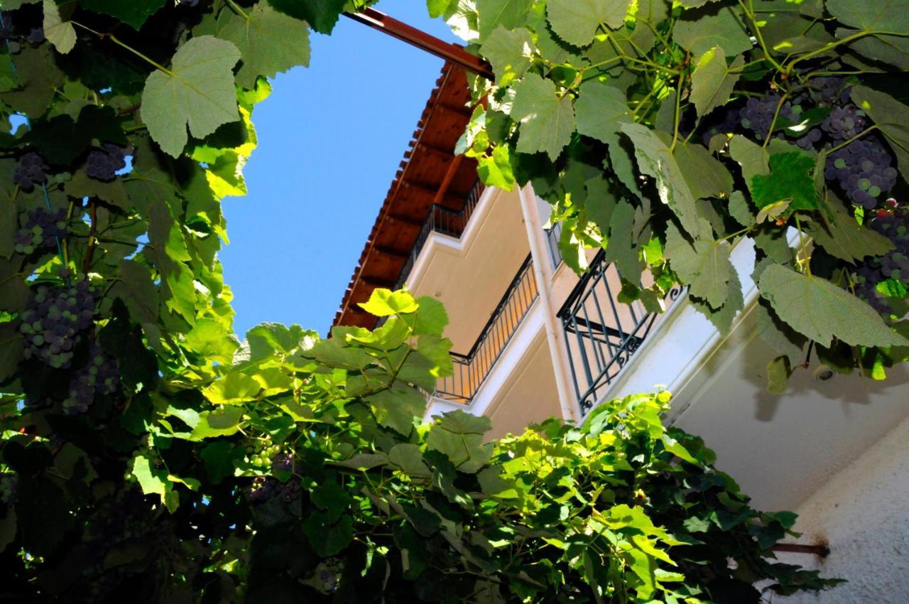 Boutique Hotel Parnassia Arachova Exterior photo